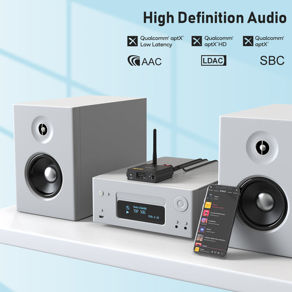 Lav audio DS220 HiFi Bluetooth-Empfänger